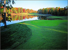 Golf Williamsburg!