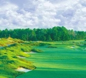 May 1st Class Orlando Stay and Play