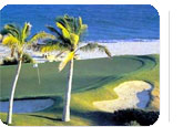 Cabo San Lucas Hot Deal:  for $379.95 for 3 nights.