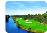 Hilton Head Hot Deal:  for $155.00. for 3 nights