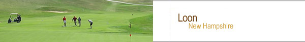Loon, NH Golf Vacation Packages