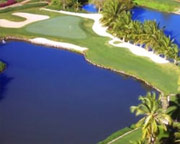 The Links Course