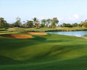 The Links Course
