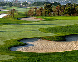 Tiburon Golf Club - Black Course