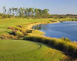 Tiburon Golf Club - Gold Course