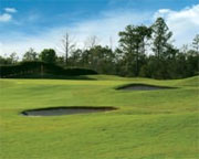 Hidden Creek