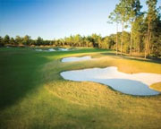 Windswept Dunes Golf