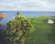 Tiger Point