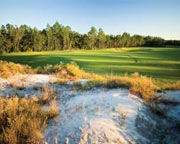 Windswept Dunes Golf