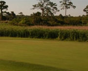 Baytree National