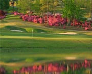 Chapel Hills