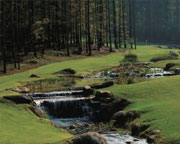The Oconee Course