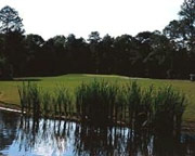 Mississippi National Golf Club