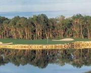 Moon Spa and Golf