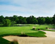 Blue Heron Pines