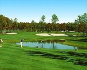 Harbor Pines