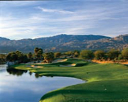 Desert Willow - Firecliff