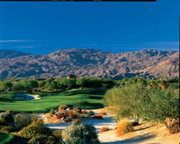 Desert Willow - Mountainview