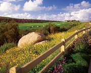 Arrowood Golf Club