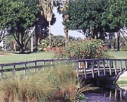Grand Palms Hotel And C.C.