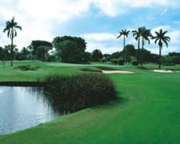 West Course-Jacaranda Golf Club