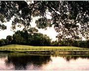 Pembroke Lakes