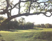 Magnolia Point Golf and Country Club