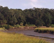 Laurel Island Links