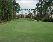 Royal St. Augustine