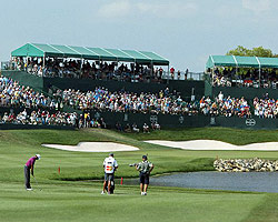 Orange County National - Crooked Cat