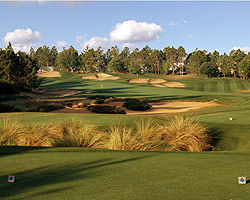Disney's Palm Golf Course