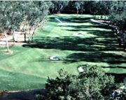 Sapelo Hammock Golf Course