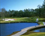 Ocean Ridge Golf - Tiger's Eye