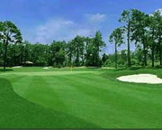 Pinehurst #1