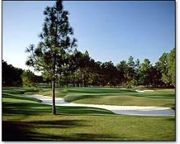 Pinehurst #3