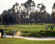 Pinehurst #5
