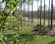 The Neuse Golf Course