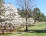 Foxfire Golf & Country Club - West Course