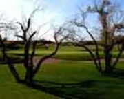 Palm Golf Course