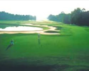 Island West Golf Club