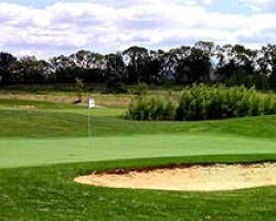 Cabo del Sol - Desert Course