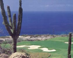 Cabo Del Sol - Ocean Course