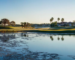 Fs_vchppga2