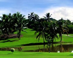 Flamingos Golf Club
