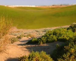 Las Palomas - The Links Course