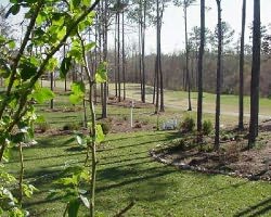 The Neuse Golf Course