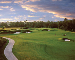 The Palencia Club