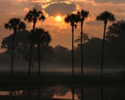 Kiawah
