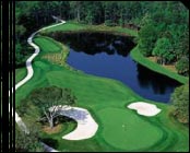 Orlando Hot Deal