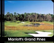 Orlando Hot Deal:  $159.95 for 3 nights.